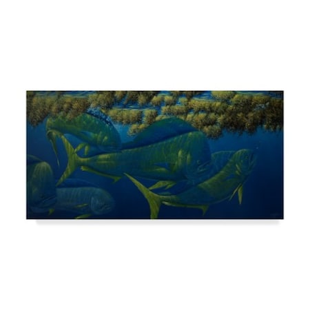 Trademark Fine Art Wilhelm Goebel 'Opalescence' Canvas Art, 16x32 ALI33706-C1632GG